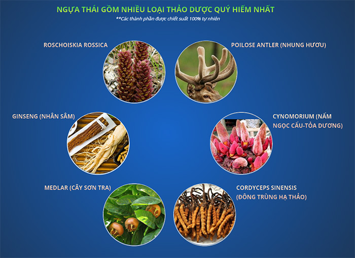 thai thao duoc tang cuong cuong cung va tang sinh ly nam ngua thai 7000mg hop 10 vien anh 001